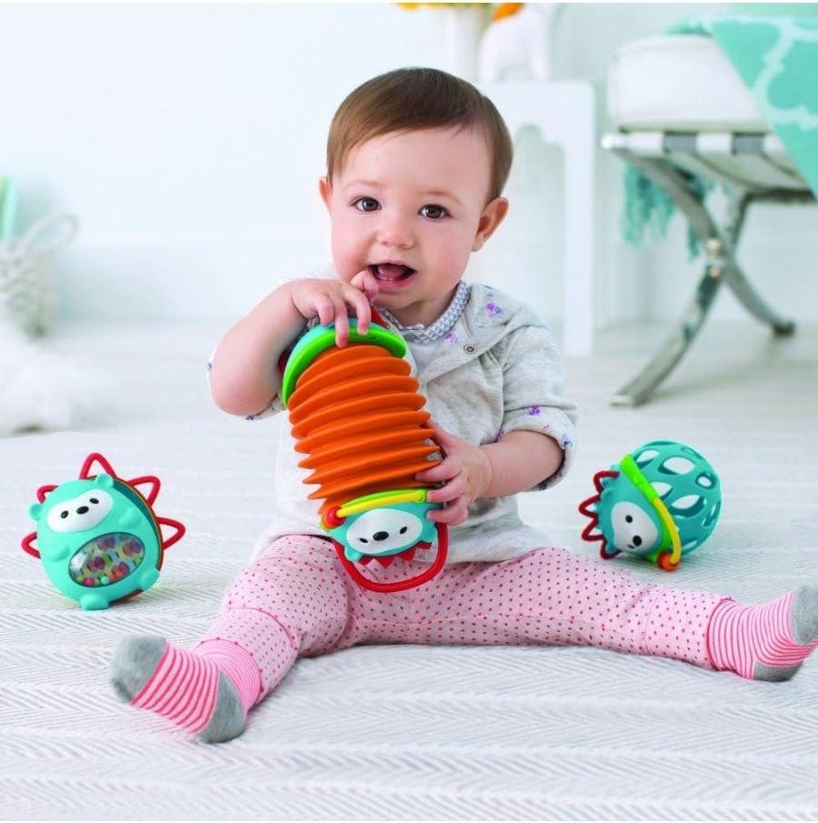 imageSkip Hop Dinosaur Pull Along Baby Musical Toy 3in1 Explore amp MoreHedgehog Accordion