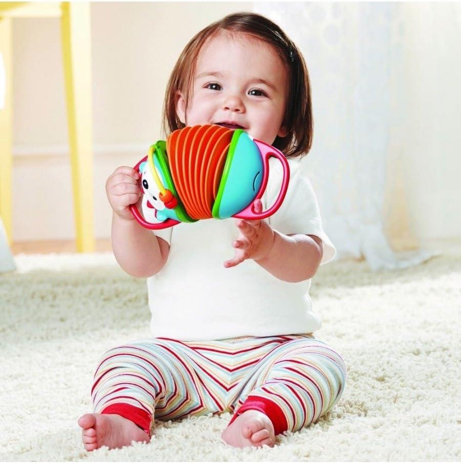 imageSkip Hop Dinosaur Pull Along Baby Musical Toy 3in1 Explore amp MoreHedgehog Accordion